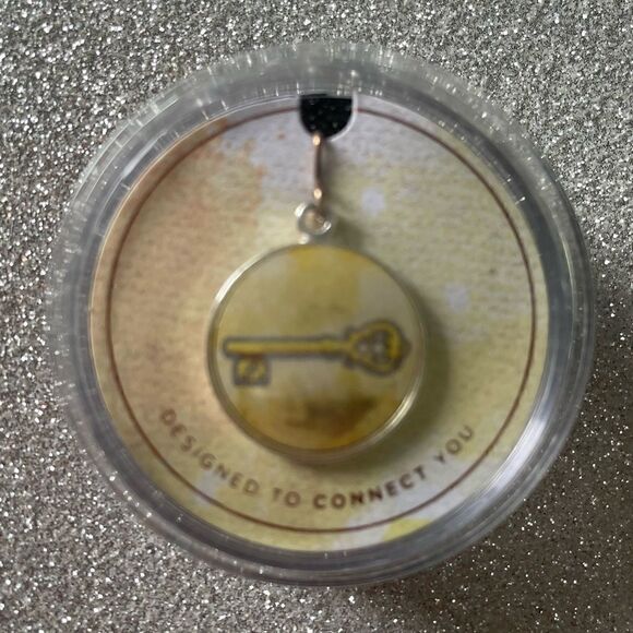 Alex and Ani 
Skeleton Key Chain Station Charm - Picture 5 of 6